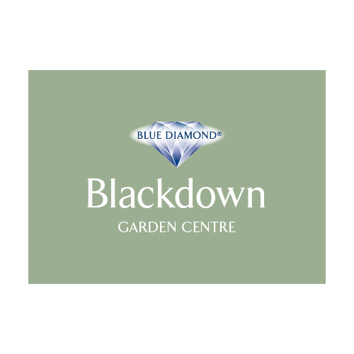 Blue diamond online shop top